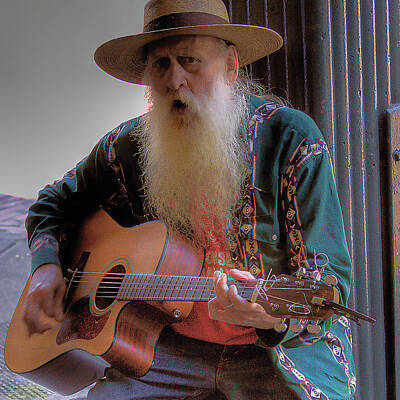 Musician Royalty-Free and Rights-Managed Images - Street Musician by David Patterson