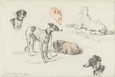 Comics Paintings - Studies of dogs, Guillaume Anne van der Brugghen, 1838 by Guillaume Anne van der Brugghen