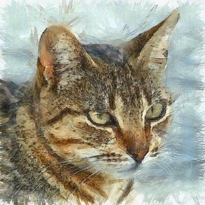 Best Sellers - Portraits Drawings - Stunning Tabby Cat Close Up Portrait by Taiche Acrylic Art
