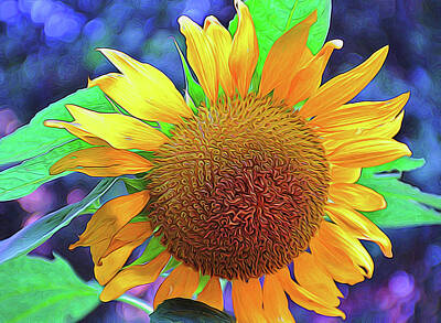 Boho Christmas Rights Managed Images - Sunflower Royalty-Free Image by Allen Beatty