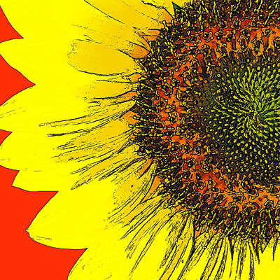 Holiday Mugs 2019 - Sunflower by David G Paul