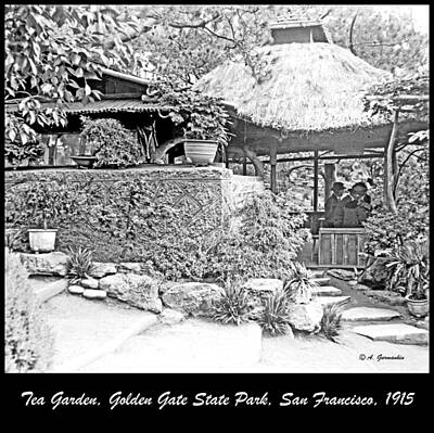 Mother And Child Animals - Tea Garden, Golden Gate State Park, 1915 by A Macarthur Gurmankin