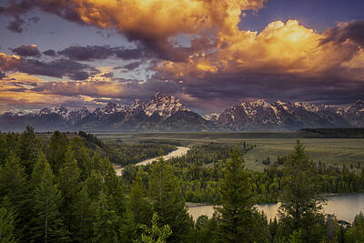 Reptiles Royalty-Free and Rights-Managed Images - Teton Cloudburst by Andrew Soundarajan