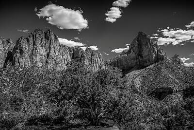 Landscapes Kadek Susanto Royalty Free Images - The Watchman, Zion National Park   Royalty-Free Image by Bob Cuthbert