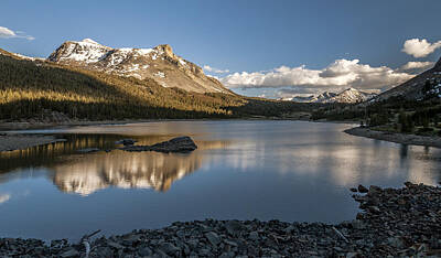Mammals Royalty-Free and Rights-Managed Images - Tioga Lake by Cat Connor