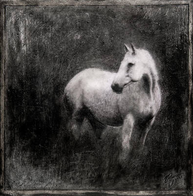 Mammals Mixed Media - White Horse by Roseanne Jones