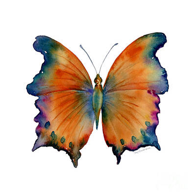 Fantasy Royalty-Free and Rights-Managed Images - 1 Wizard Butterfly by Amy Kirkpatrick