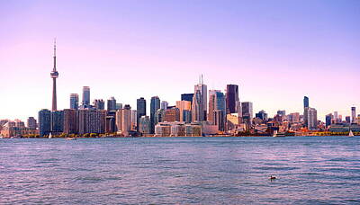 Western Buffalo Royalty Free Images - Toronto Skyline Royalty-Free Image by Valentino Visentini