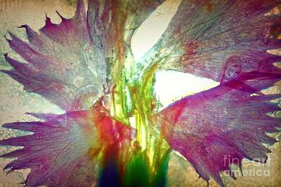 Abstract Flowers Photos - 11139 Purple Flower Abstract by Colin Hunt