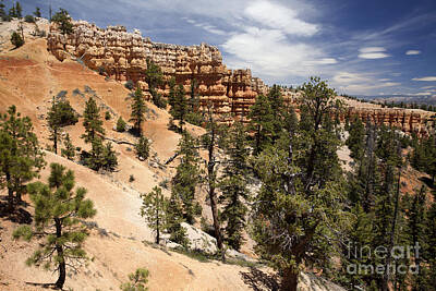 New York Magazine Covers - Bryce Canyon - Utah by Anthony Totah