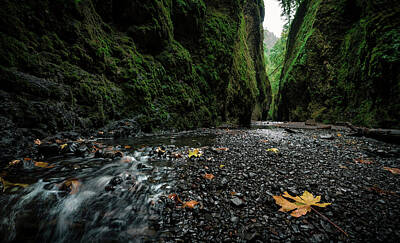 Silvia Ganora Textures - Lower Oneonta Falls waterfall located in Western Gorge, Oregon. by Ryan Kelehar