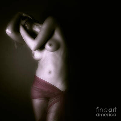 Nudes Royalty-Free and Rights-Managed Images - Nude by Falko Follert