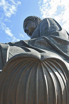 Sultry Plants Rights Managed Images - 1590-Tian Tan Buddha Royalty-Free Image by David Lange