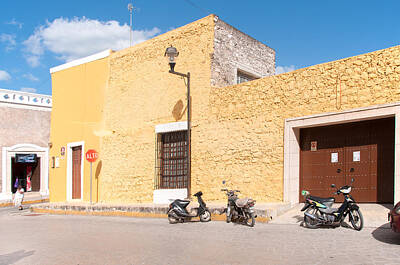 Frog Photography - Izamal by Carol Ailles