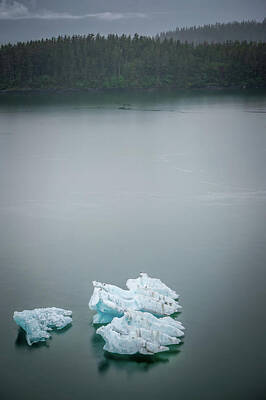 Nautical Animals - Tracy Arm Fjord Scenery In June In Alaska by Alex Grichenko