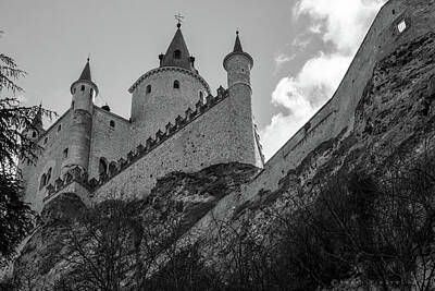 Pineapples Rights Managed Images - Alcazar of Segovia Spain Royalty-Free Image by Henri Irizarri