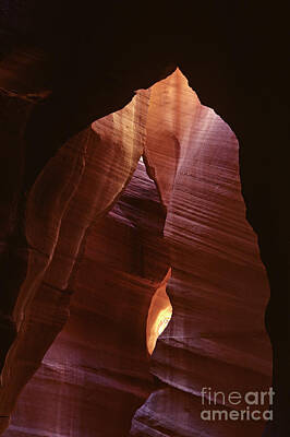 Animals And Earth - Antelope Canyon  by Jim Corwin
