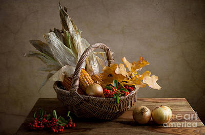 Still Life Royalty-Free and Rights-Managed Images - Autumn by Nailia Schwarz