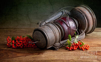 Still Life Rights Managed Images - Autumn Still Life Royalty-Free Image by Nailia Schwarz