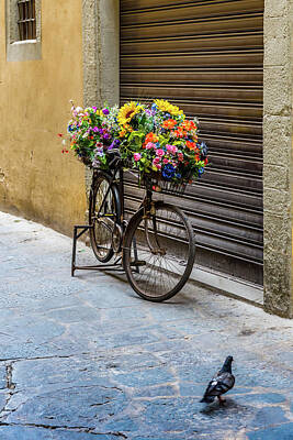 Coy Fish Michael Creese Paintings - Bike Cycle with Flowers by Javier Flores