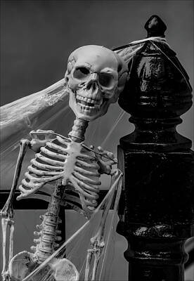 Modern Sophistication Minimalist Abstract - Halloween Skeleton Decoration by Robert Ullmann