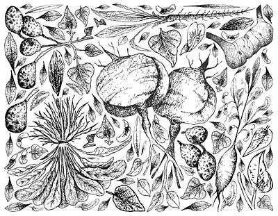 Recently Sold - Food And Beverage Drawings - Hand Drawn of Root and Tuberous Vegetables Background by Iam Nee