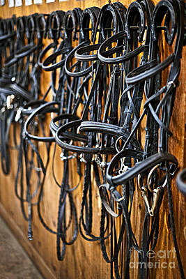 Animals Photos - Horse bridles on stable wall 2 by Elena Elisseeva