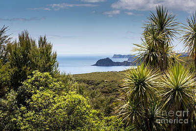 Penguins - Landscape from Russell near Paihia, Bay of Islands, New Zealand by Mariusz Prusaczyk