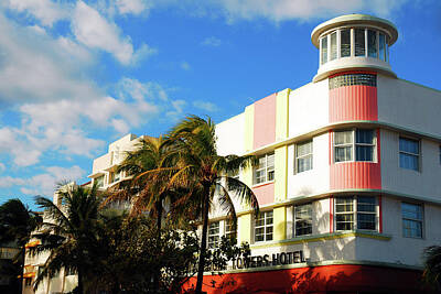 Whimsical Flowers - Miami Deco by James Kirkikis