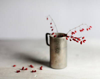 Still Life Photos - Still Life with Red Berries by Nailia Schwarz