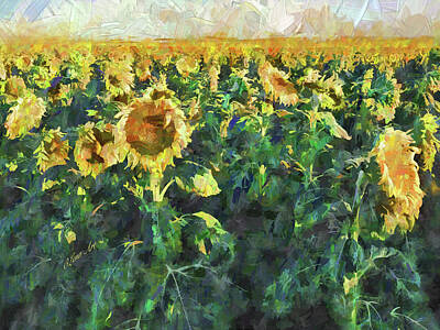 Modern Feathers Art - Sunflower Fields by OLena Art