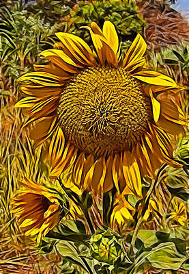 Palm Trees Rights Managed Images - Sunflower  Royalty-Free Image by Galeria Trompiz