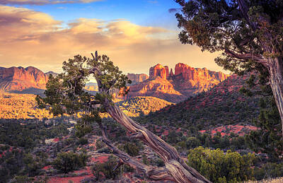 Olympic Sports - Sundown at Cathedral Rock by Alexey Stiop