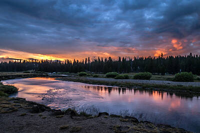 Mammals Royalty-Free and Rights-Managed Images - Tuolumne Meadows Sunset by Cat Connor