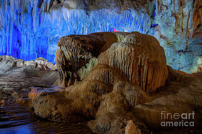Shark Art - Vietnam Hang Dau Go stalagmites cave  by Amos Gal