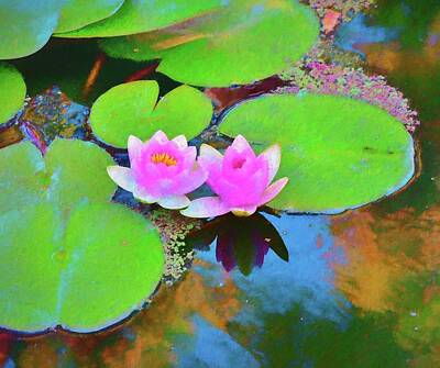 Impressionism Royalty-Free and Rights-Managed Images - 20 Water Lilies Impressionism by Linda Brody