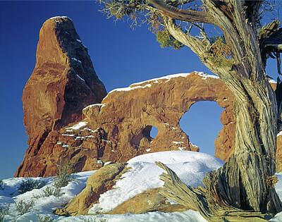 Marilyn Monroe - 212705 Turret Arch in Winter by Ed Cooper Photography