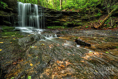 Purely Purple - West Virginia Waterfall by Thomas R Fletcher