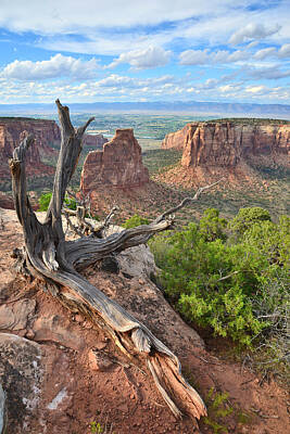 Nailia Schwarz Food Photography - Colorado National Monument by Ray Mathis