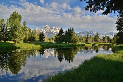 Reptiles Photo Royalty Free Images - Grand Teton National Park Royalty-Free Image by Ray Mathis