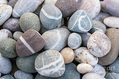 Beach Royalty-Free and Rights-Managed Images - Beach pebbles 1 by Elena Elisseeva