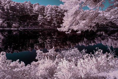 Surrealism Photo Royalty Free Images - Beautiful false color surreal infrared landscape image of lake a Royalty-Free Image by Matthew Gibson