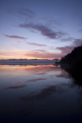 Mans Best Friend Rights Managed Images - Cerknica lake at dawn Royalty-Free Image by Ian Middleton