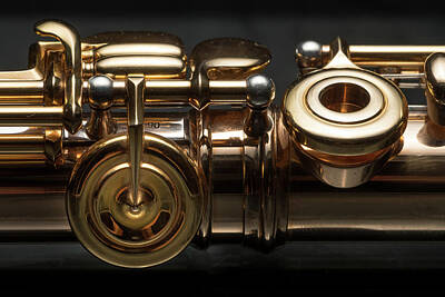 Musician Royalty Free Images - Details of a golden flute black background Royalty-Free Image by Stefan Rotter