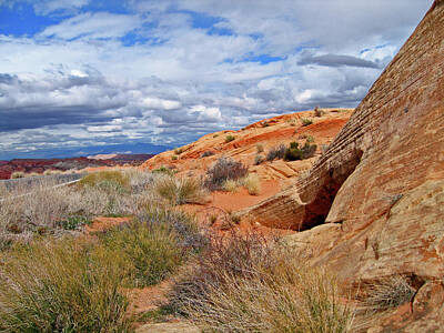 Ira Marcus Royalty-Free and Rights-Managed Images - Nevada Desert by Ira Marcus