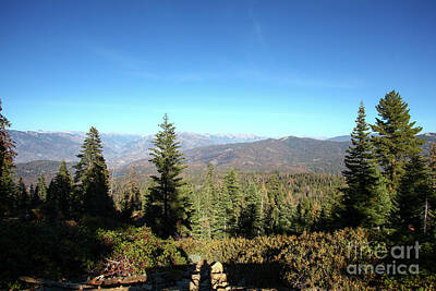 Modern Kitchen Royalty Free Images - Sequoia and Kings National Park, California Royalty-Free Image by Gal Eitan