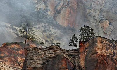 On Trend Breakfast Royalty Free Images - Stormy Zion National Park Royalty-Free Image by Michael Just