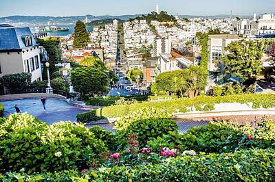 Mountain Landscape - Top City Views From Lombard Street In San Francisco California by Alex Grichenko