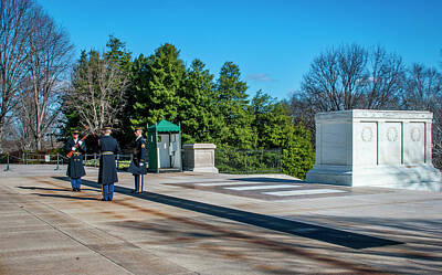 Red Foxes - 3961- Unknown Soldier  by David Lange