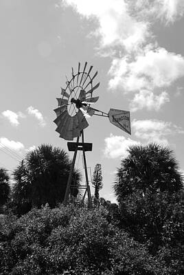 Beach House Signs - Aermotor Windmill by Rob Hans